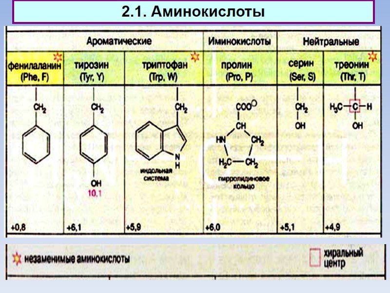 2.1. Аминокислоты